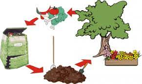 Distribuzione GRATUITA di concime biologico COMPOST